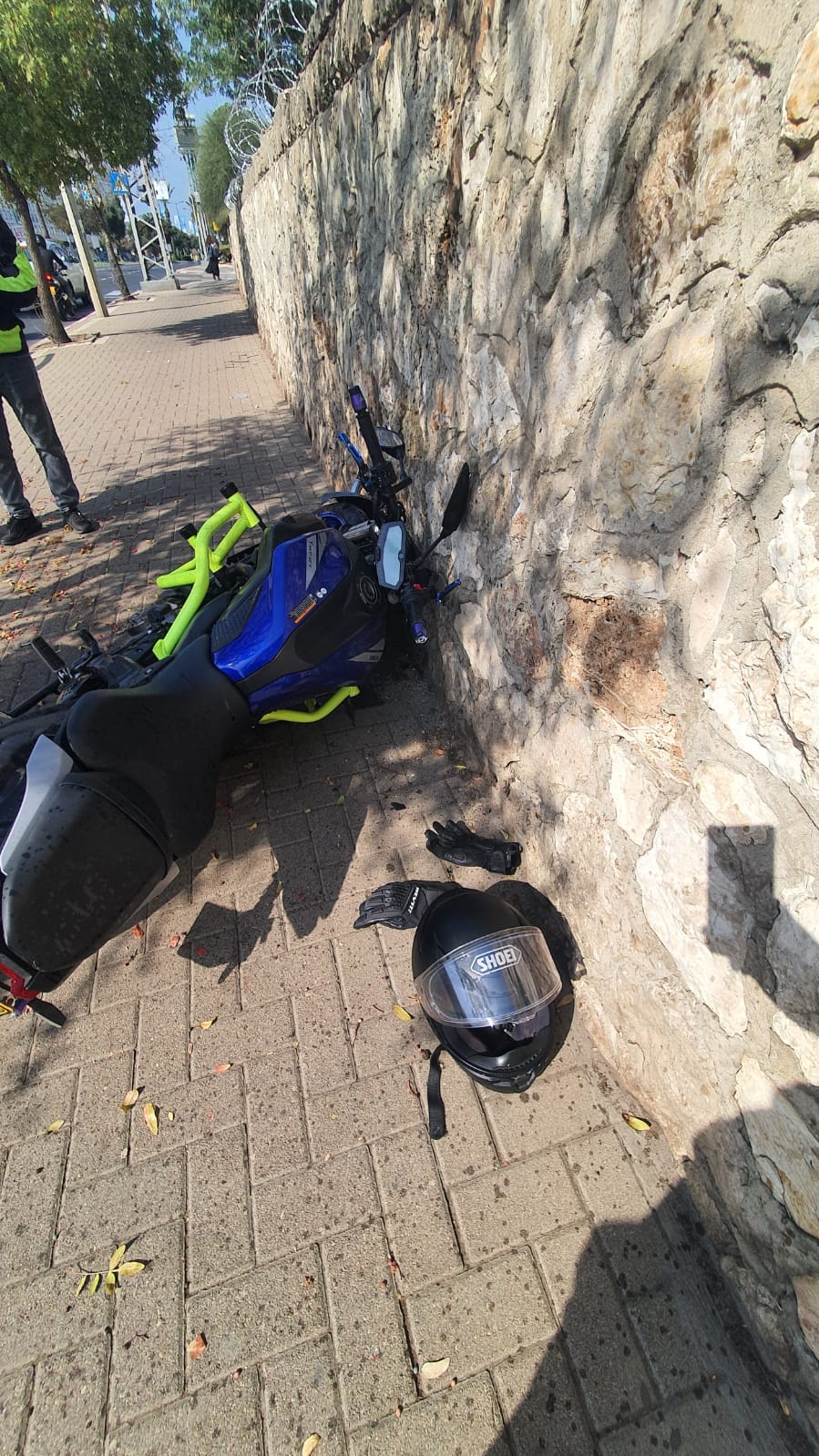 WhatsApp Image 2022-10-28 at 11.29.33.jpg